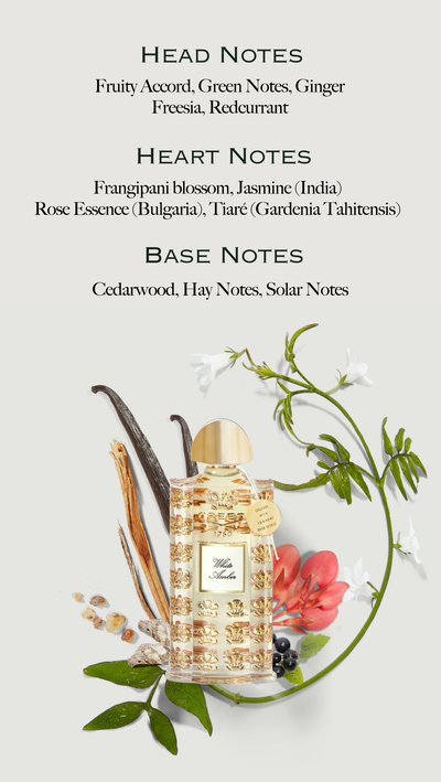 An image shows a perfume bottle surrounded by fragrance ingredients, with text listing HEAD NOTES Fruity Accord Green Notes Ginger Freesia Redcurrant HEART NOTES Frangipani blossom Jasmine India Rose Essence Bulgaria Tiaré Gardenia Tahitensis BASE NOTES Cedarwood Hay Notes Solar Notes and the bottle label reading Creed 1760 White Amber with a tag stating GILDED WITH 10-KARAT FINE GOLD.
