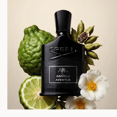 Creed Absolu Aventus black bottle surrounded by citrus, spices, woods, and herbs on a white background.