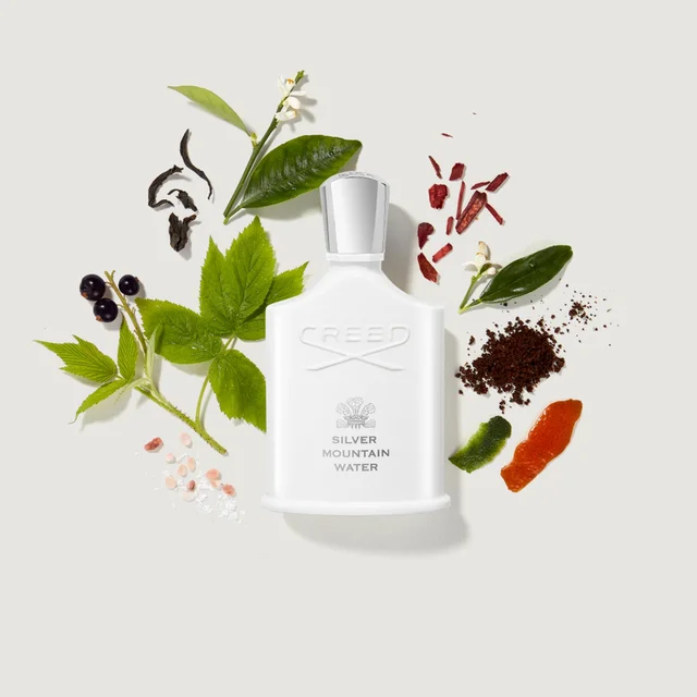 Silver Mountain Water